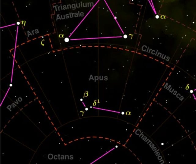 La constelación de Apus