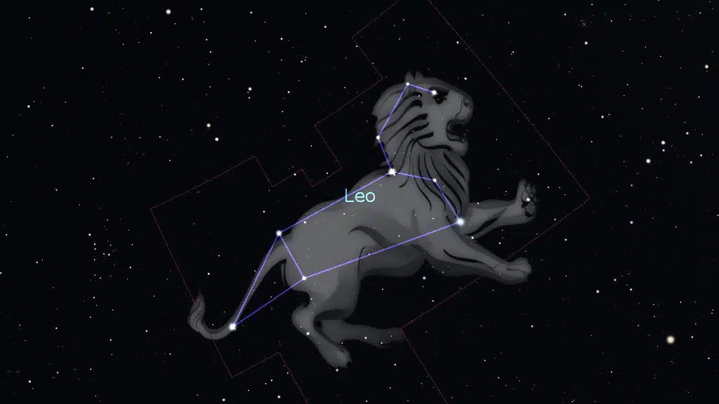 Leo